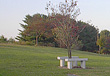 Memorial Benches at Judean